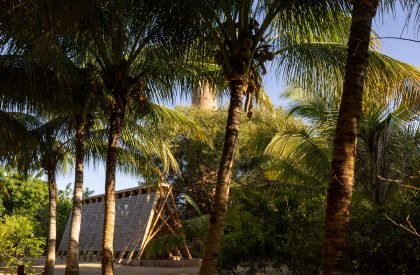 Orchid Pavilion | CCA Centro de Colaboración Arquitectónica