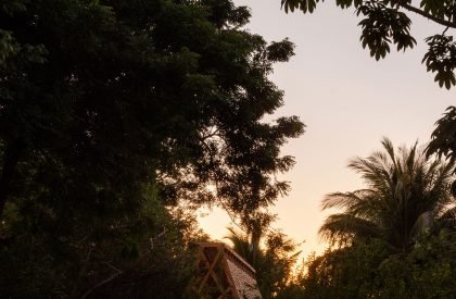 Orchid Pavilion | CCA Centro de Colaboración Arquitectónica