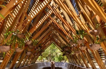 Orchid Pavilion | CCA Centro de Colaboración Arquitectónica