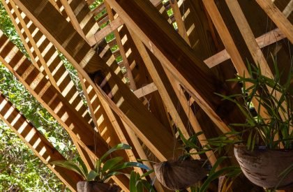 Orchid Pavilion | CCA Centro de Colaboración Arquitectónica