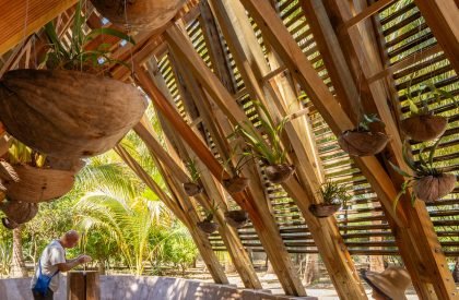 Orchid Pavilion | CCA Centro de Colaboración Arquitectónica