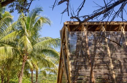 Orchid Pavilion | CCA Centro de Colaboración Arquitectónica