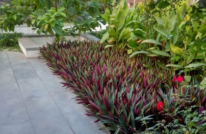 Samip: An ingenious Forecourt in an urban context | Studio Roots + Studio Lagom