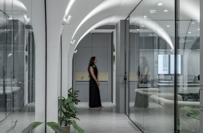 The White Curve Vault | Mayin Architecture Studio