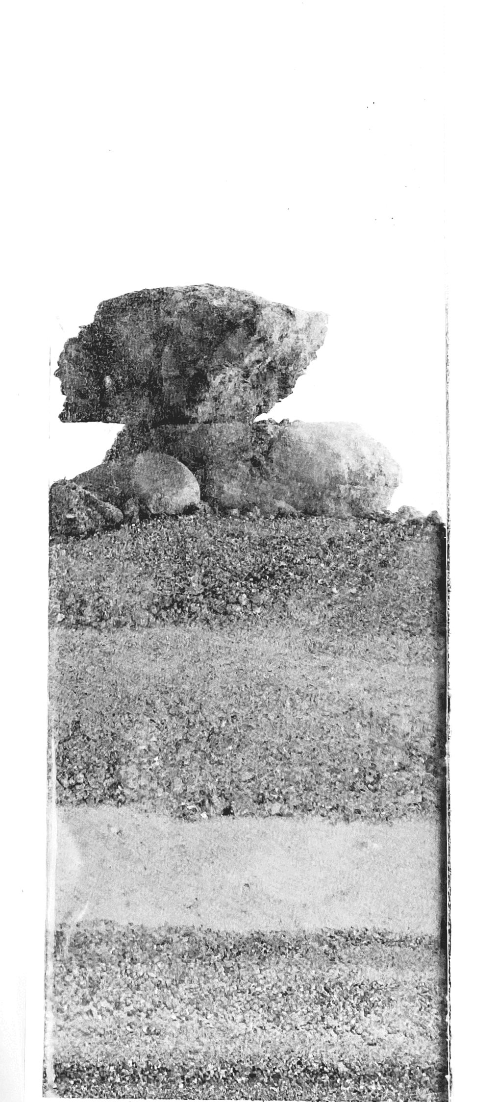 Sediments: Performative Ecologies | Architecture Thesis on Regenerative Architecture