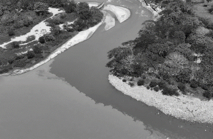 Sediments: Performative Ecologies | Architecture Thesis on Regenerative Architecture