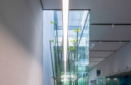 ACB Bank Office | MIA Design Studio
