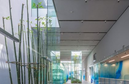 ACB Bank Office | MIA Design Studio
