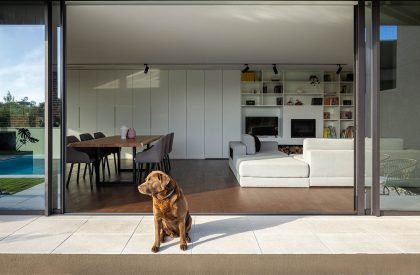 House Madalena | Paulo Martins Arquitectura
