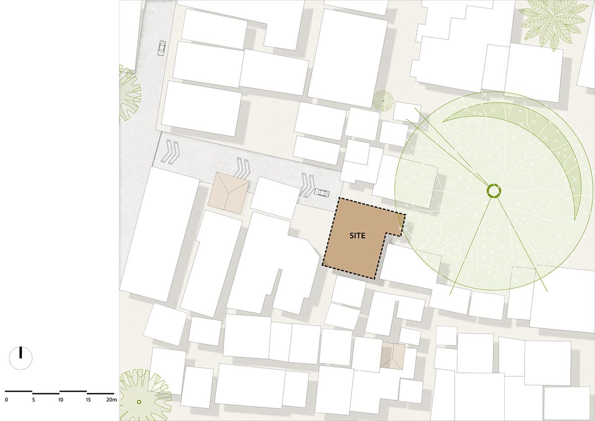 House Above The Tree | Collage Architecture Studio