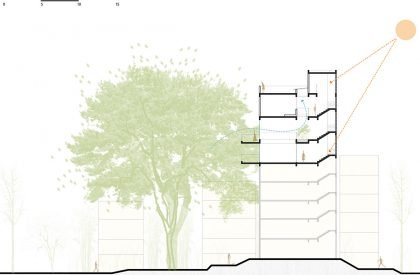 House Above The Tree | Collage Architecture Studio