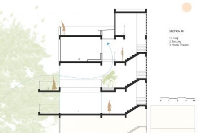 House Above The Tree | Collage Architecture Studio