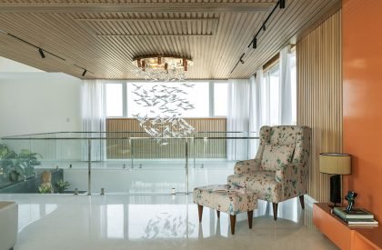 House Above The Tree | Collage Architecture Studio