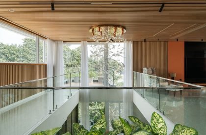 House Above The Tree | Collage Architecture Studio