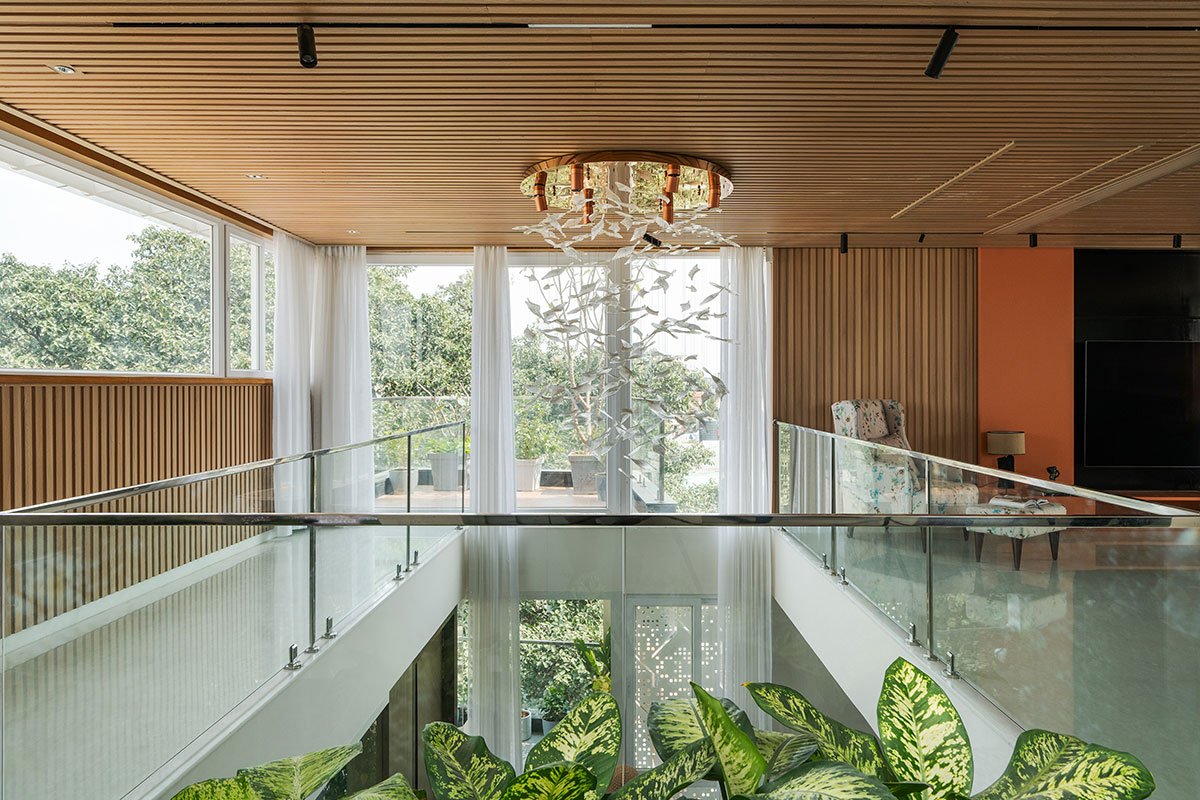 House Above The Tree | Collage Architecture Studio