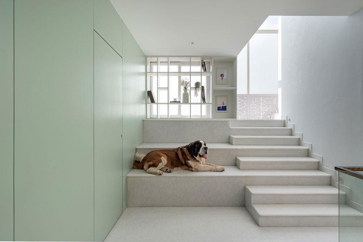 House Above The Tree | Collage Architecture Studio