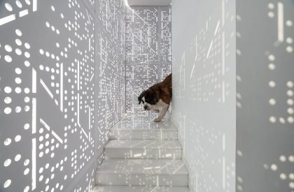 House Above The Tree | Collage Architecture Studio