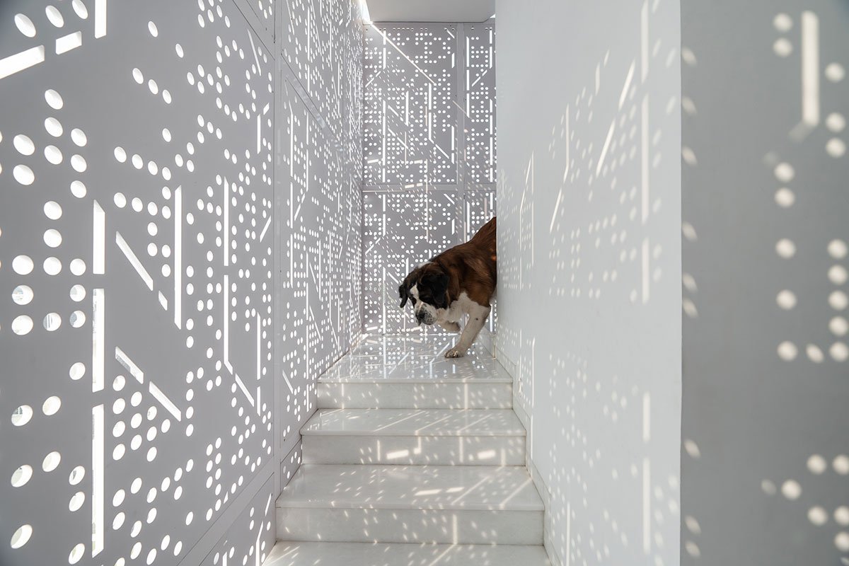 House Above The Tree | Collage Architecture Studio