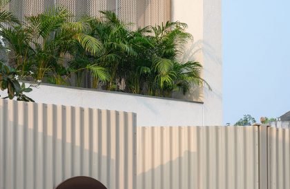 Plot 33 | Playball Studio