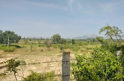 Vidyakula International School | Sudaiva Studio