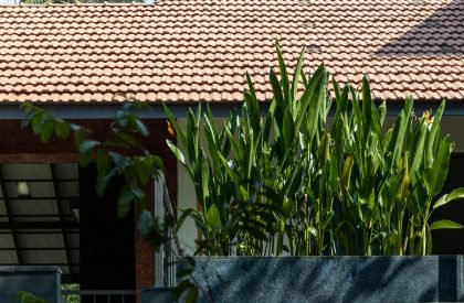 The Levelscape | Nestcraft Architecture