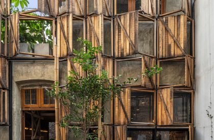Moshu- Treehouse | Hitzig Militello Arquitectos