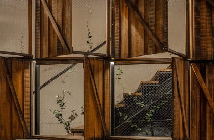 Moshu- Treehouse | Hitzig Militello Arquitectos
