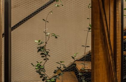 Moshu- Treehouse | Hitzig Militello Arquitectos
