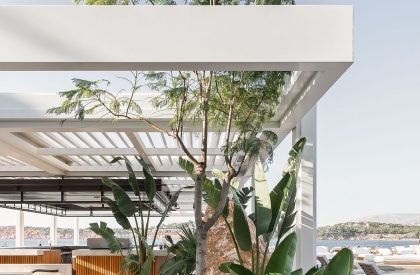 Helios & Taverna37 | "K-Studio"