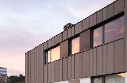 Casa Madreselva | David Olmos Arquitectos