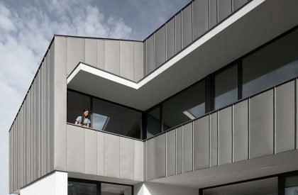 Casa Madreselva | David Olmos Arquitectos