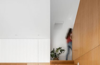 Casa Madreselva | David Olmos Arquitectos