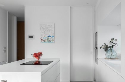 Casa Madreselva | David Olmos Arquitectos