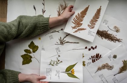 The Palimpsest of Peatlands | Masters Design Thesis on Regenerative Landscape Design