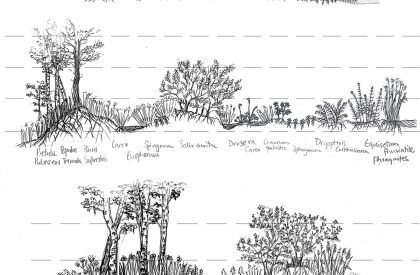 The Palimpsest of Peatlands | Masters Design Thesis on Regenerative Landscape Design