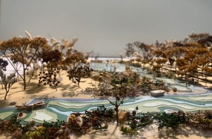 The Palimpsest of Peatlands | Masters Design Thesis on Regenerative Landscape Design