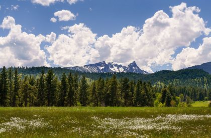 Fat Deer Lodge | Cushing Terrell