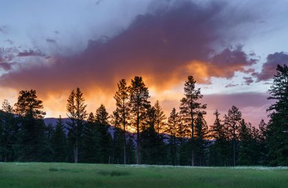 Fat Deer Lodge | Cushing Terrell