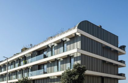 Lux | Mário Alves arquiteto