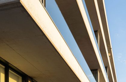 Lux | Mário Alves arquiteto