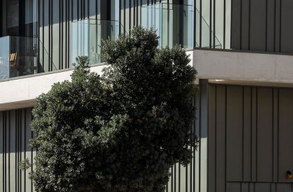 Lux | Mário Alves arquiteto