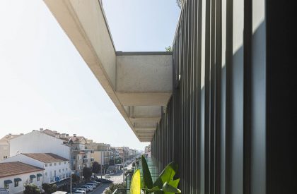 Lux | Mário Alves arquiteto