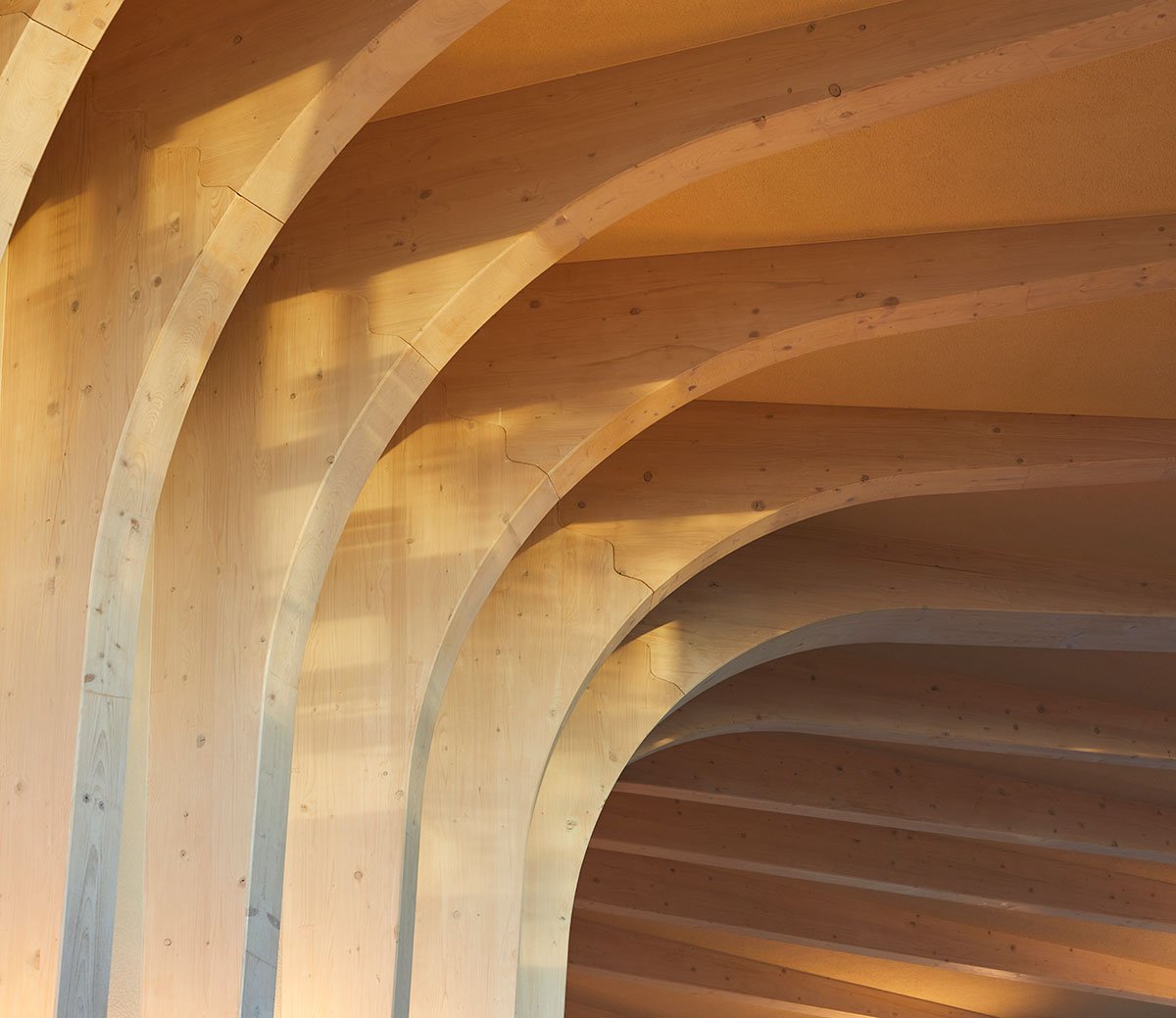 Maggie’s Yorkshire | Heatherwick Studio