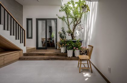 Tú House | Story Architecture