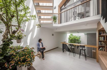 Tú House | Story Architecture