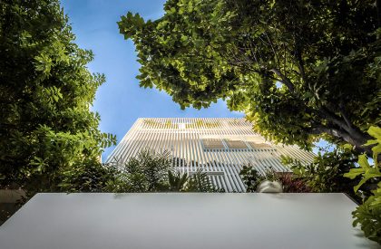 Tú House | Story Architecture