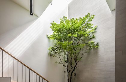Tú House | Story Architecture