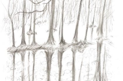 Redwood Tribe Shared Restaurant in Hongqiyang Village | y.ad studio