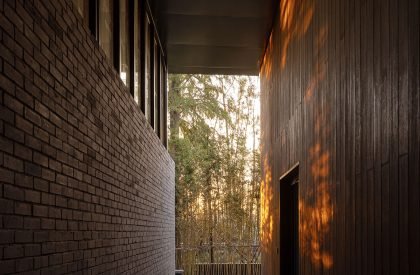 Redwood Tribe Shared Restaurant in Hongqiyang Village | y.ad studio