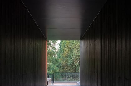 Redwood Tribe Shared Restaurant in Hongqiyang Village | y.ad studio